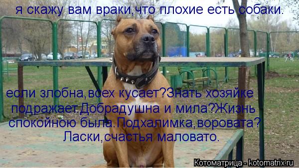 я скажу вам враки,что плохие есть собаки. если злобна,всех кусает?Знать хозяйке подражает.Добрадушна... Котоматрица: я скажу вам враки,что плохие есть собаки. если злобна,всех кусает?Знать хозяйке подражает.Добрадушна и мила?Жизнь спокойною была.Подхалимк