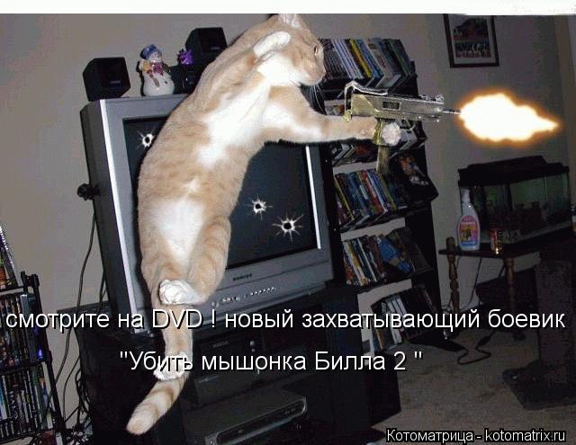 смотрите на DVD ! новый захватывающий боевик "Убить мышонка Билла 2 "... Котоматрица: смотрите на DVD ! новый захватывающий боевик "Убить мышонка Билла 2 "