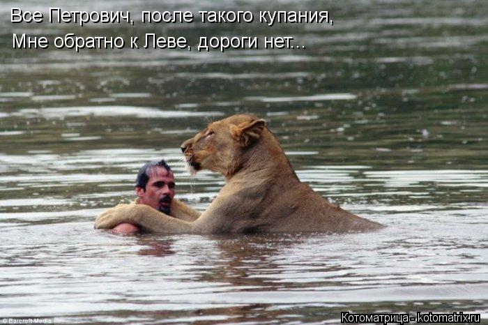 Все Петрович, после такого купания, Мне обратно к Леве, дороги нет...... Котоматрица: Все Петрович, после такого купания, Мне обратно к Леве, дороги нет...