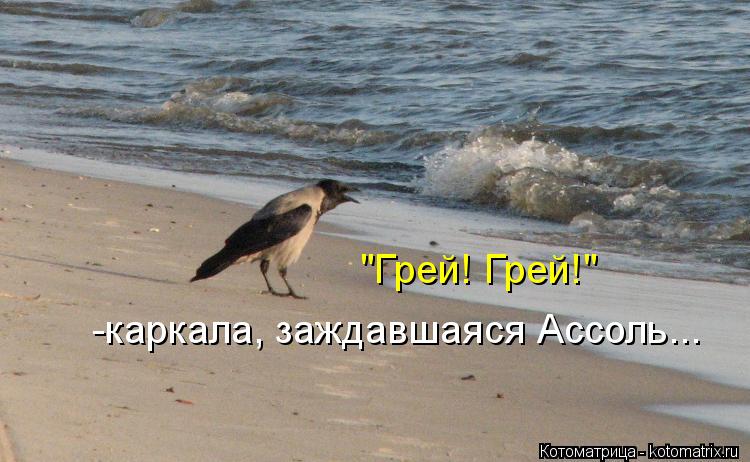 "Грей! Грей!" -каркала, заждавшаяся Ассоль...... Котоматрица: "Грей! Грей!" -каркала, заждавшаяся Ассоль...