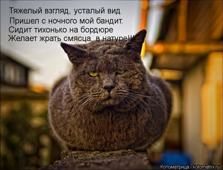 Тяжелый взгляд, усталый вид Пришел с ночного мой бандит. Сидит тихонько на бордюре Желает жрать смясц... Котоматрица: Тяжелый взгляд, усталый вид Пришел с ночного мой бандит. Сидит тихонько на бордюре Желает жрать смясца, в натуре!!!