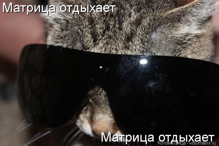 Котоматрица: Матрица отдыхает Матрица отдыхает