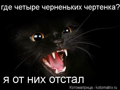 я от них отстал где четыре черненьких чертенка?... Котоматрица: я от них отстал где четыре черненьких чертенка?