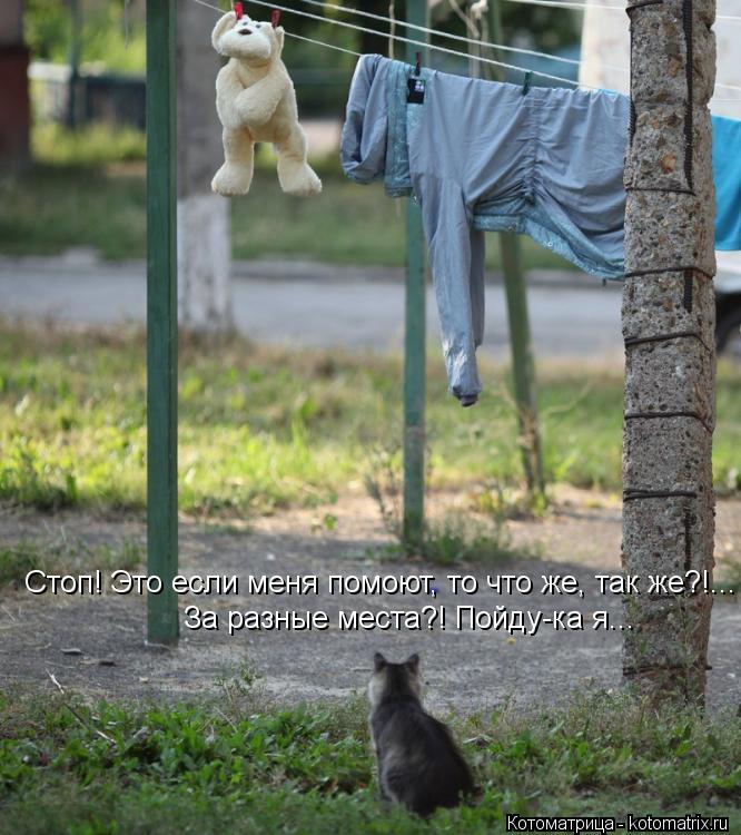 Стоп! Это если меня помоют, то что же, так же?!... За разные места?! Пойду-ка я...... Котоматрица: Стоп! Это если меня помоют, то что же, так же?!... За разные места?! Пойду-ка я...