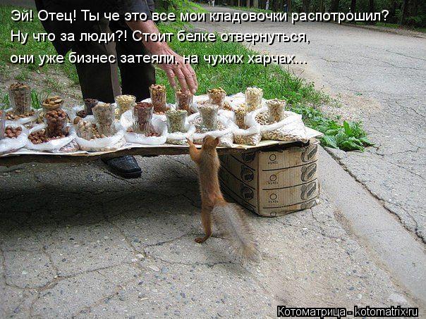 Эй! Отец! Ты че это все мои кладовочки распотрошил? Ну что за люди?! Стоит белке отвернуться, они уже... Котоматрица: Эй! Отец! Ты че это все мои кладовочки распотрошил? Ну что за люди?! Стоит белке отвернуться, они уже бизнес затеяли, на чужих харчах...