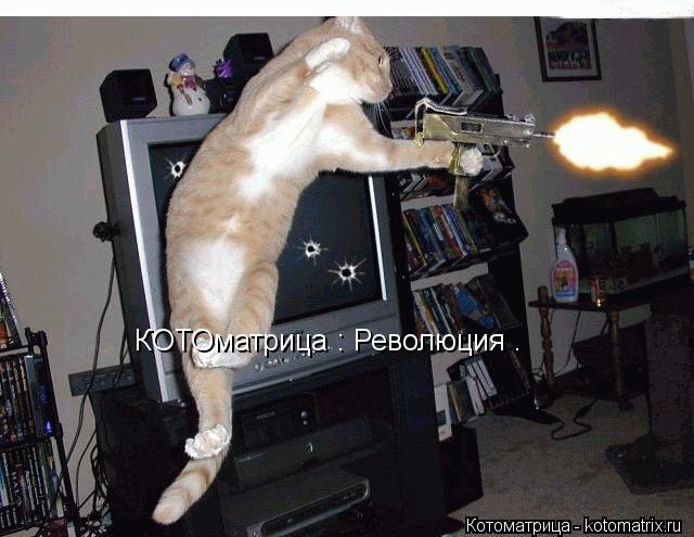 КОТОматрица : Революция .... Котоматрица: КОТОматрица : Революция .
