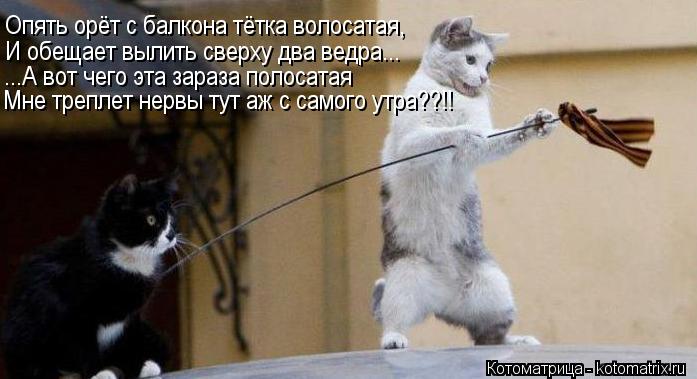 Опять орёт с балкона тётка волосатая, И обещает вылить сверху два ведра... ...А вот чего эта зараза п... Котоматрица: Опять орёт с балкона тётка волосатая, И обещает вылить сверху два ведра... ...А вот чего эта зараза полосатая Мне треплет нервы тут аж с самого