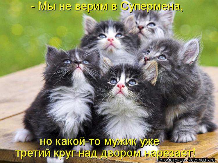 - Мы не верим в Супермена, третий круг над двором нарезает! но какой-то мужик уже... Котоматрица: - Мы не верим в Супермена, третий круг над двором нарезает! но какой-то мужик уже