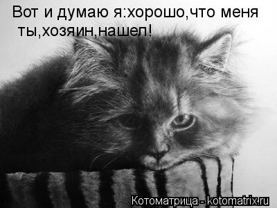 Вот и думаю я:хорошо,что меня ты,хозяин,нашел!... Котоматрица: Вот и думаю я:хорошо,что меня ты,хозяин,нашел!