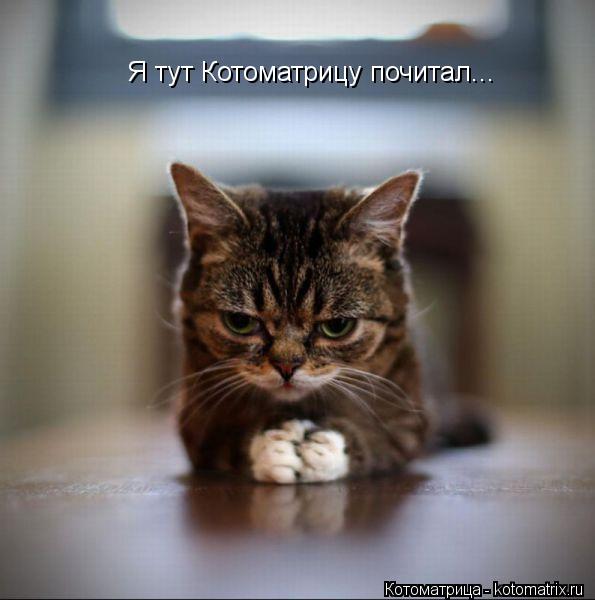Я тут Котоматрицу почитал...... Котоматрица: Я тут Котоматрицу почитал...