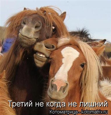Третий не когда не лишний... Котоматрица: Третий не когда не лишний