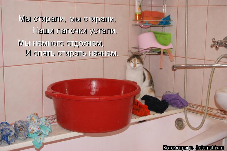 Котоматрица: Наши лапочки устали. Мы немного отдохнем, И опять стирать начнем. Мы стирали, мы стирали,