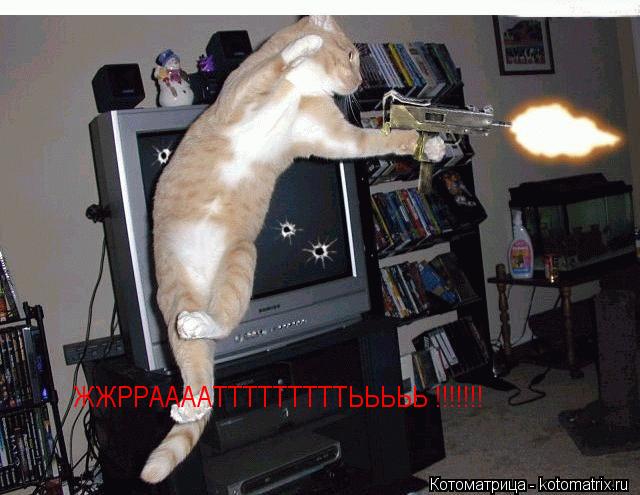 ЖЖРРААААТТТТТТТТТЬЬЬЬЬ !!!!!!!... Котоматрица: ЖЖРРААААТТТТТТТТТЬЬЬЬЬ !!!!!!!