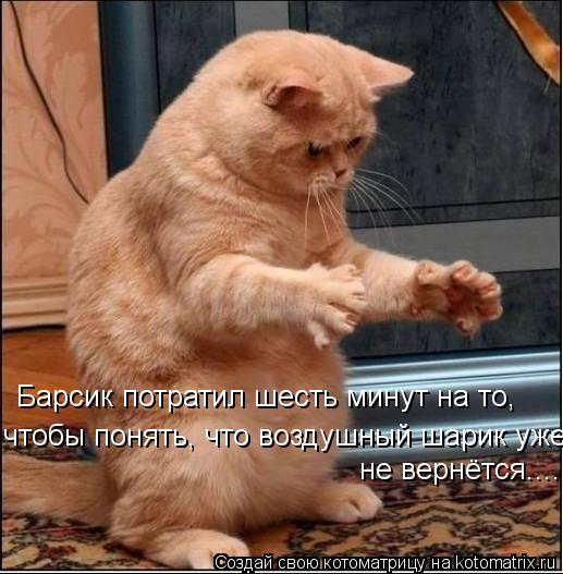 Барсик потратил шесть минут на то, чтобы понять, что воздушный шарик уже не вернётся....... Котоматрица: Барсик потратил шесть минут на то, чтобы понять, что воздушный шарик уже не вернётся....
