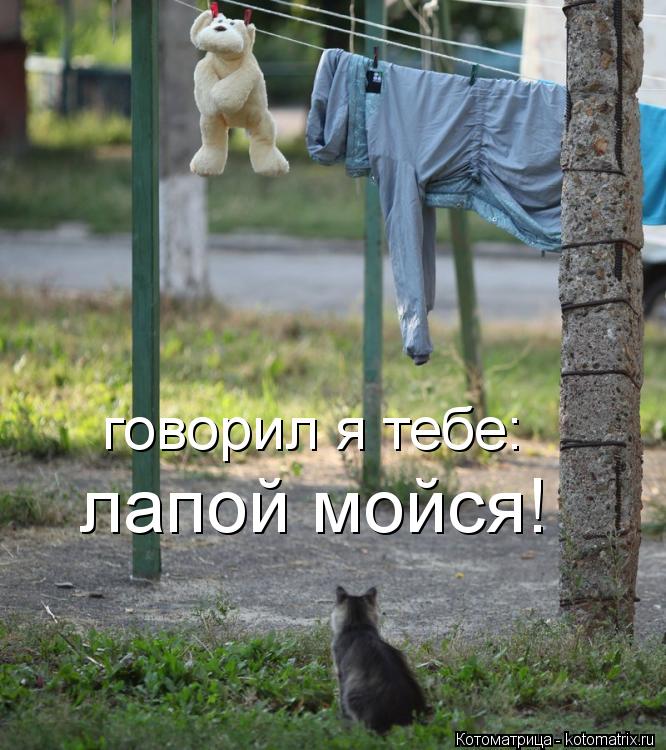 лапой мойся! говорил я тебе:... Котоматрица: лапой мойся! говорил я тебе:
