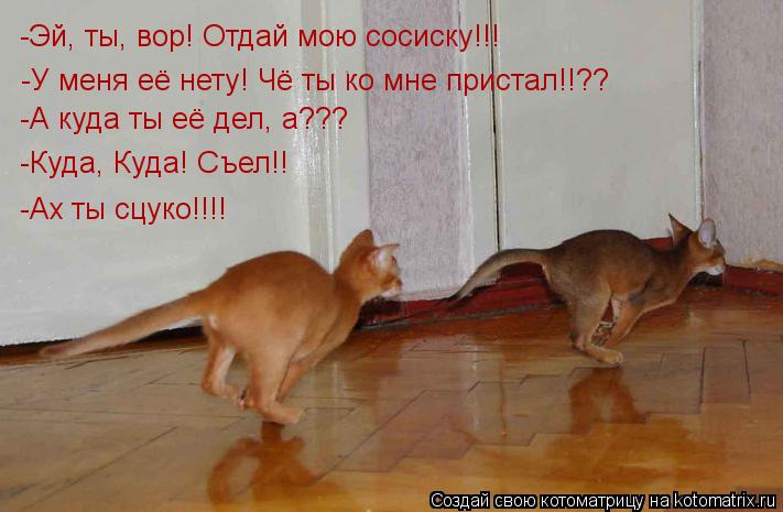 -Эй, ты, вор! Отдай мою сосиску!!! -У меня её нету! Чё ты ко мне пристал!!?? -А куда ты её дел, а??? ... Котоматрица: -Эй, ты, вор! Отдай мою сосиску!!! -У меня её нету! Чё ты ко мне пристал!!?? -А куда ты её дел, а??? -Куда, Куда! Съел!! -Ах ты сцуко!!!!