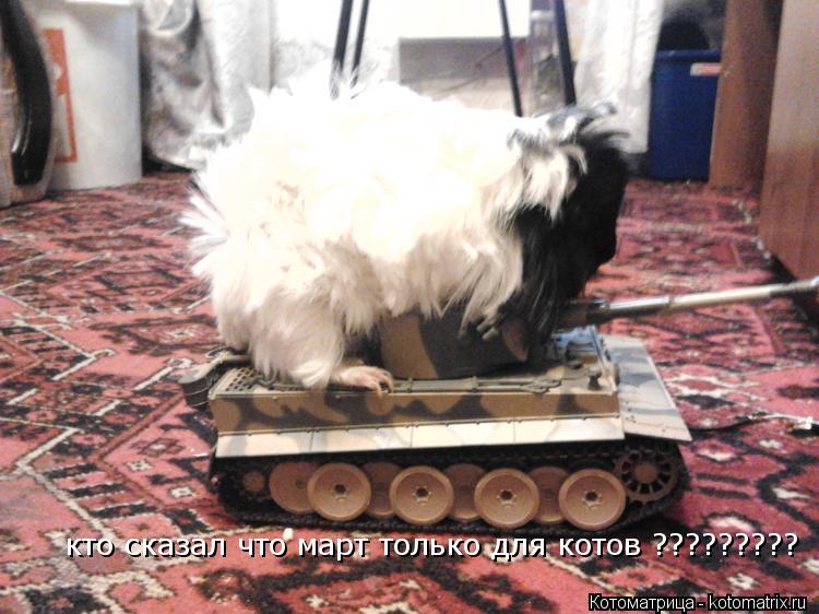 кто сказал что март только для котов ?????????... Котоматрица: кто сказал что март только для котов ?????????