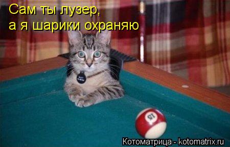 Сам ты лузер, а я шарики охраняю... Котоматрица: Сам ты лузер, а я шарики охраняю