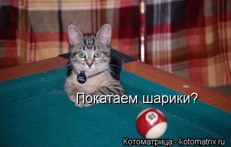 Покатаем шарики?... Котоматрица: Покатаем шарики?