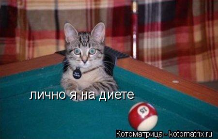 лично я на диете... Котоматрица: лично я на диете