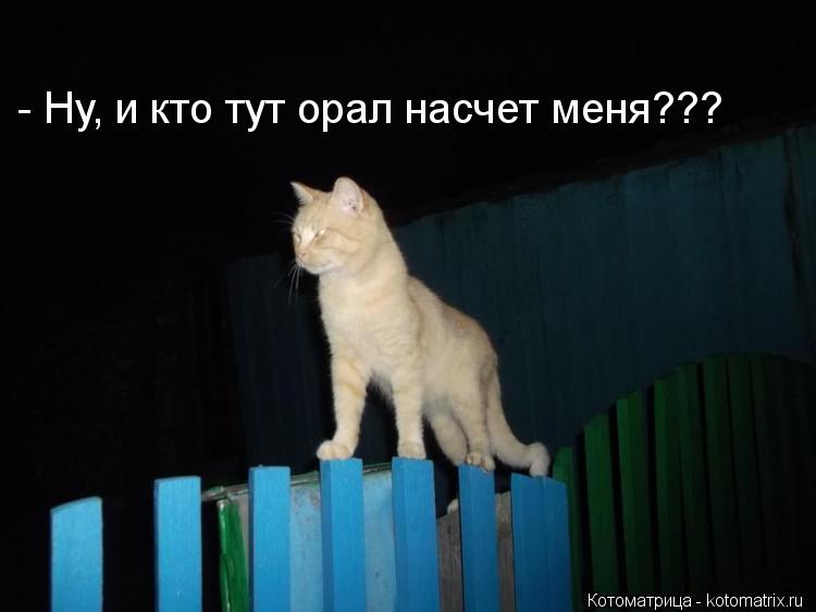 - Ну, и кто тут орал насчет меня???... Котоматрица: - Ну, и кто тут орал насчет меня???