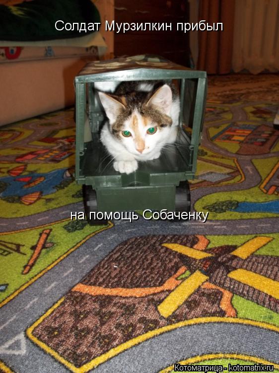 Солдат Мурзилкин прибыл на помощь Собаченку... Котоматрица: Солдат Мурзилкин прибыл на помощь Собаченку