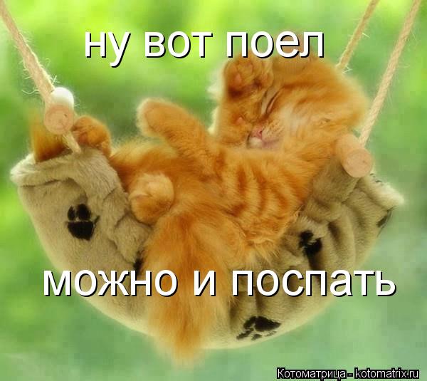 ну вот поел ну вот поел можно и поспать... Котоматрица: ну вот поел ну вот поел можно и поспать
