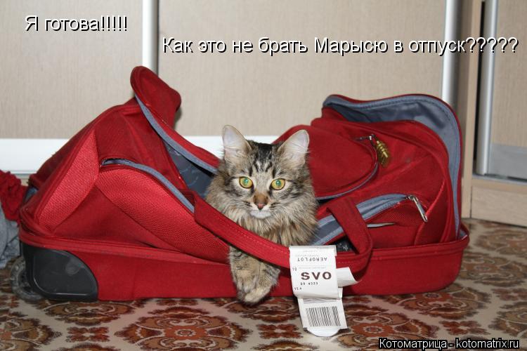 Котоматрица: Я готова!!!!! Как это не брать Марысю в отпуск?????