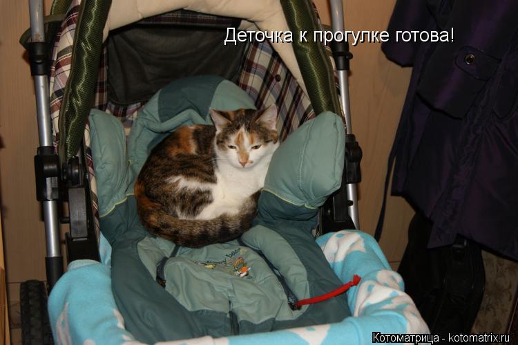 Деточка к прогулке готова!... Котоматрица: Деточка к прогулке готова!