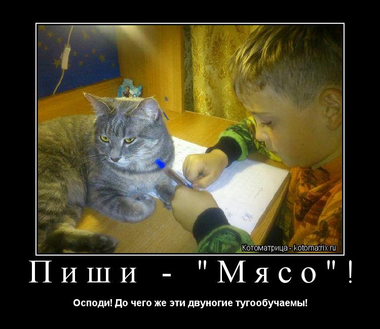 Пиши - "Мясо"! Осподи! До чего же эти двуногие тугообучаемы!... Котоматрица: Пиши - "Мясо"! Осподи! До чего же эти двуногие тугообучаемы!