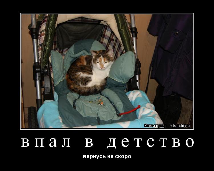впал в детство вернусь не скоро... Котоматрица: впал в детство вернусь не скоро
