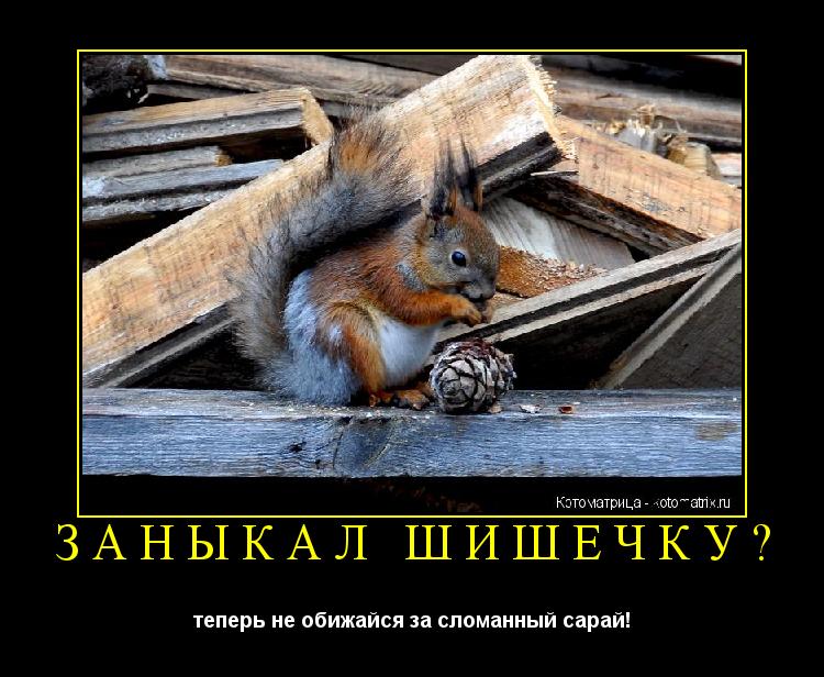 Котоматрица: ЗАНЫКАЛ ШИШЕЧКУ? теперь не обижайся за сломанный сарай!