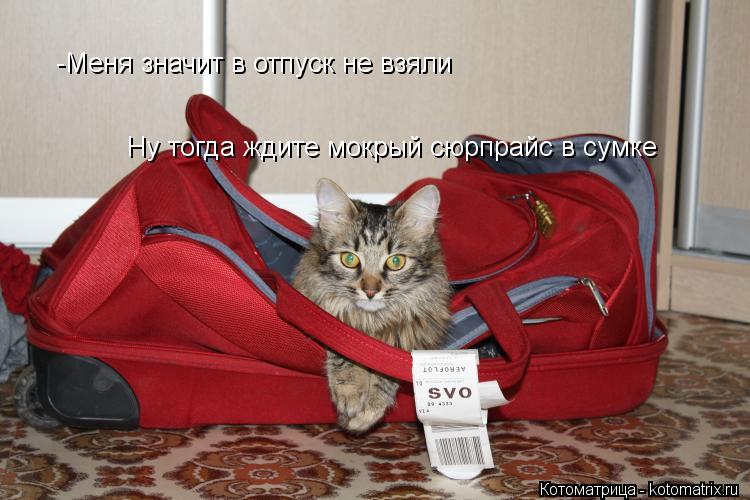 -Меня значит в отпуск не взяли Ну тогда ждите мокрый сюрпрайс в сумке... Котоматрица: -Меня значит в отпуск не взяли Ну тогда ждите мокрый сюрпрайс в сумке