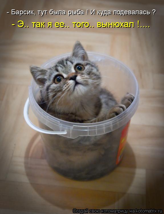 Котоматрица: - Барсик, тут была рыба ! И куда подевалась ? - Э.. так я ее.. того.. вынюхал !....