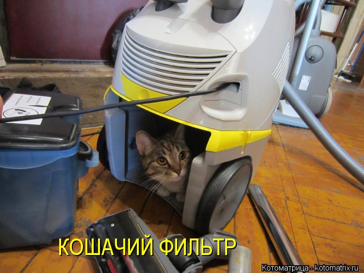 КОШАЧИЙ ФИЛЬТР... Котоматрица: КОШАЧИЙ ФИЛЬТР