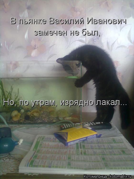 В пьянке Василий Иванович замечен не был, Но, по утрам, изрядно лакал...... Котоматрица: В пьянке Василий Иванович замечен не был, Но, по утрам, изрядно лакал...