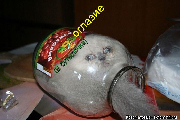 оглазие (В бутылочке)... Котоматрица: оглазие (В бутылочке)