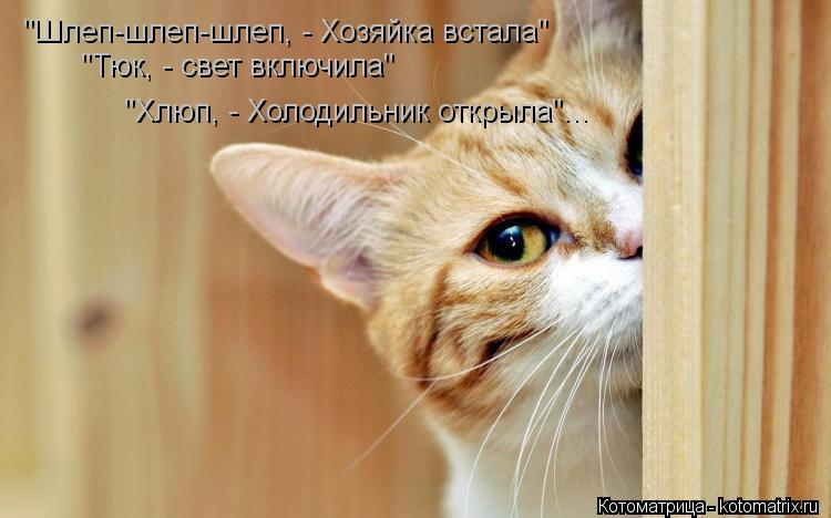 "Шлеп-шлеп-шлеп, - Хозяйка встала" "Тюк, - свет включила" "Хлюп, - Холодильник открыла"...... Котоматрица: "Шлеп-шлеп-шлеп, - Хозяйка встала" "Тюк, - свет включила" "Хлюп, - Холодильник открыла"...