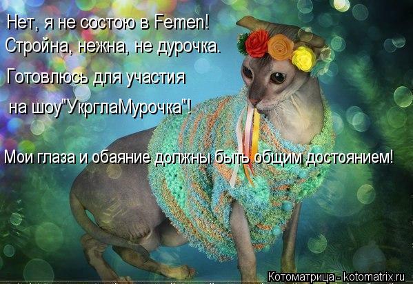 Нет, я не состою в Femen! Стройна, нежна, не дурочка. Готовлюсь для участия на шоу"УкрглаМурочка"! ... Котоматрица: Нет, я не состою в Femen! Стройна, нежна, не дурочка. Готовлюсь для участия на шоу"УкрглаМурочка"! Мои глаза и обаяние должны быть общим достоян