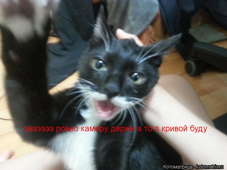 эээээээ ровно камеру держи а то я кривой буду... Котоматрица: эээээээ ровно камеру держи а то я кривой буду