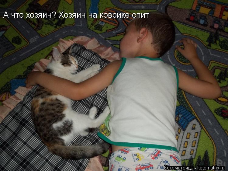 А что хозяин? Хозяин на коврике спит... Котоматрица: А что хозяин? Хозяин на коврике спит