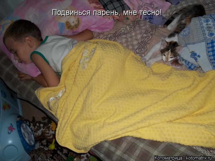 Котоматрица: Подвинься парень, мне тесно!