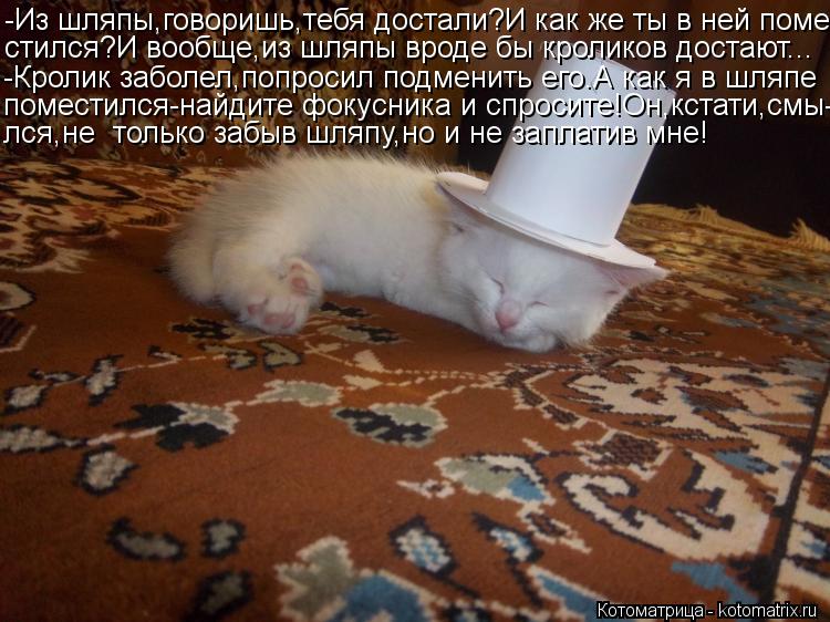 Котоматрица: -Из шляпы,говоришь,тебя достали?И как же ты в ней поме- стился?И вообще,из шляпы вроде бы кроликов достают... -Кролик заболел,попросил подмени