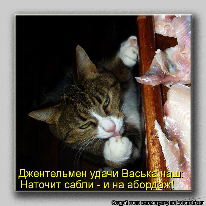 Джентельмен удачи Васька наш: Наточит сабли - и на абордаж!... Котоматрица: Джентельмен удачи Васька наш: Наточит сабли - и на абордаж!