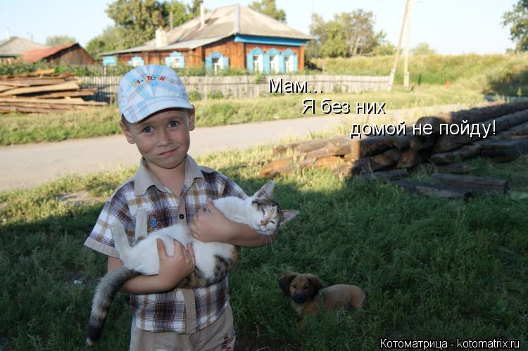 Мам... Я без них домой не пойду!... Котоматрица: Мам... Я без них домой не пойду!