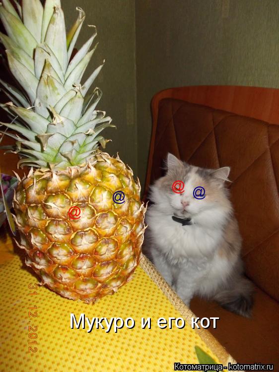 @ @ @ @ Мукуро и его кот... Котоматрица: @ @ @ @ Мукуро и его кот