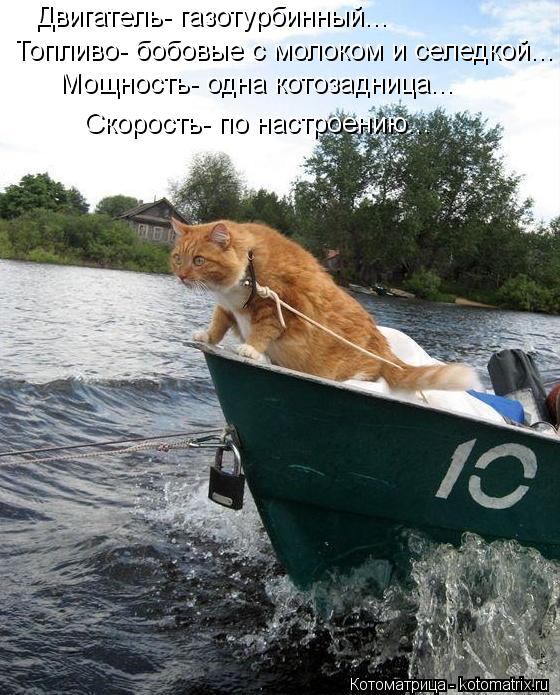 Двигатель- газотурбинный... Топливо- бобовые с молоком и селедкой... Мощность- одна котозадница... ... Котоматрица: Двигатель- газотурбинный... Топливо- бобовые с молоком и селедкой... Мощность- одна котозадница... Скорость- по настроению...