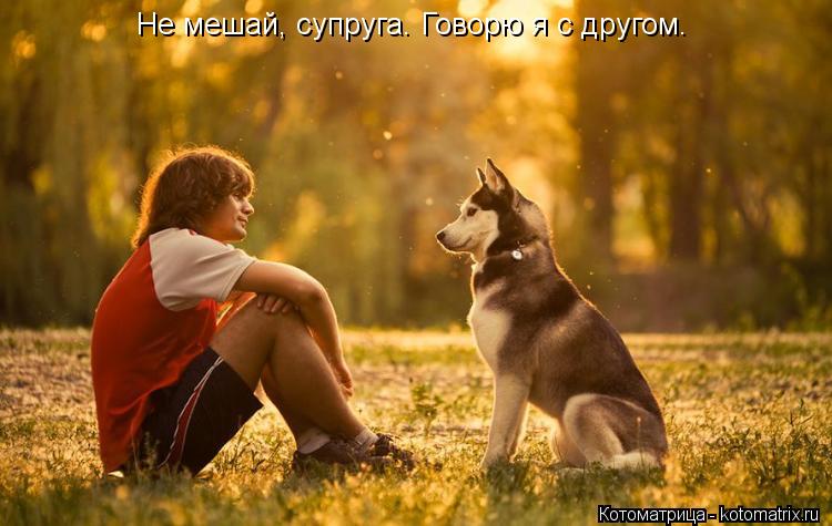 Не мешай, супруга. Говорю я с другом.... Котоматрица: Не мешай, супруга. Говорю я с другом.