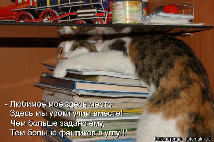 Котоматрица: - Любимое мое здесь место! Здесь мы уроки учим вместе! Чем больше задано ему, Тем больше фантиков в углу!!!