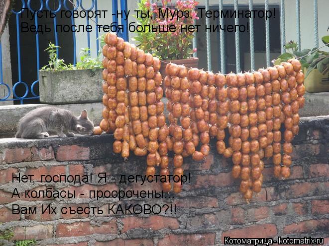 Пусть говорят -ну ты, Мурз, Терминатор! Ведь после тебя больше нет ничего! Нет, господа! Я - дегустат... Котоматрица: Пусть говорят -ну ты, Мурз, Терминатор! Ведь после тебя больше нет ничего! Нет, господа! Я - дегустатор! А колбасы - просрочены... Вам Их съесть К